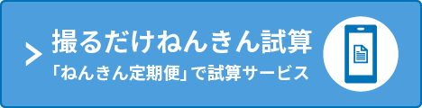 撮るだけねんきん試算